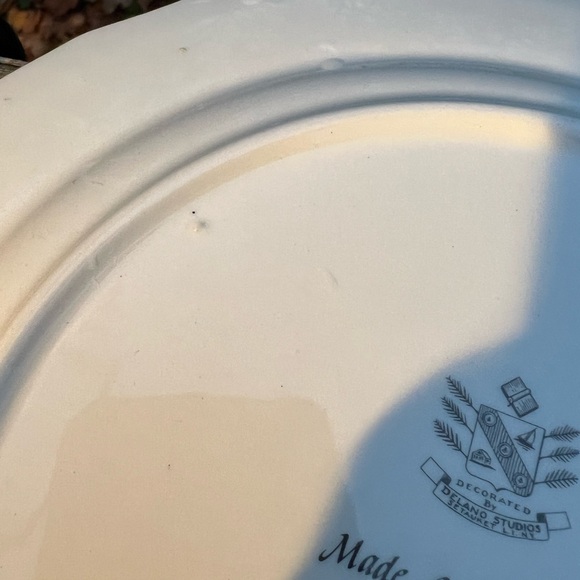 S P Skinner Raleigh Tavern Williamsburg Virginia 10” Decorative Plate - Picture 8 of 14